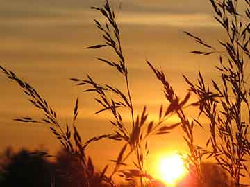 天门吃打胎药手心脚心痒（吃打胎药手心脚心痒怎么办）